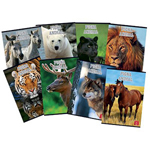 Quaderni A4 Fruits e Animal World