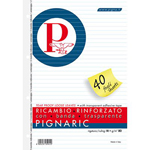 Ricambi rinforzati Pignaric