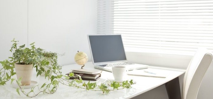 Arredare l'ufficio con le piante per aumentare la produttività