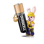 Pile Duracell Plus