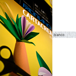 Cartoncino Cartacrea - 35x50cm - 220gr - bianco - Fabriano - Blister 10 fogli