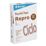 Repro R Ciclo