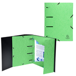 Cartellina 3 lembi forata - con elastico Punchy - cartoncino lustré - A4 - verde anice - Exacompta