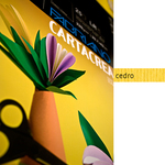 Cartoncino CartaCrea - 35x50cm - 220gr - cedro - Fabriano -  blister 10 fogli