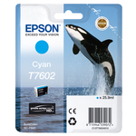 Epson - Cartuccia ink - Ciano - C13T76024010 - 25,9ml