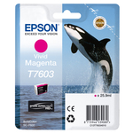 Epson - Cartuccia ink - Magenta - C13T76034010 - 25,9ml