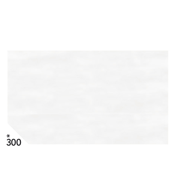 Carta velina -  50x70cm - 31gr - bianco 300 - Sadoch - busta 26 pezzi