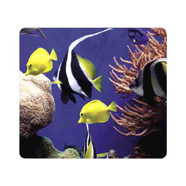 Mousepad Earth Series